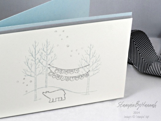 Stampin' Up! UK White Christmas Pool Party