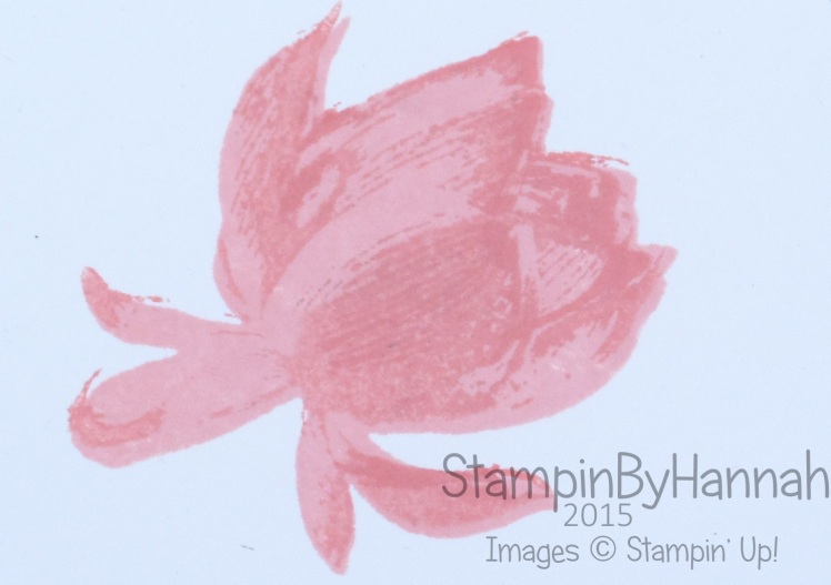 Stampin' Up! UK Lotus Blossom how to stamp