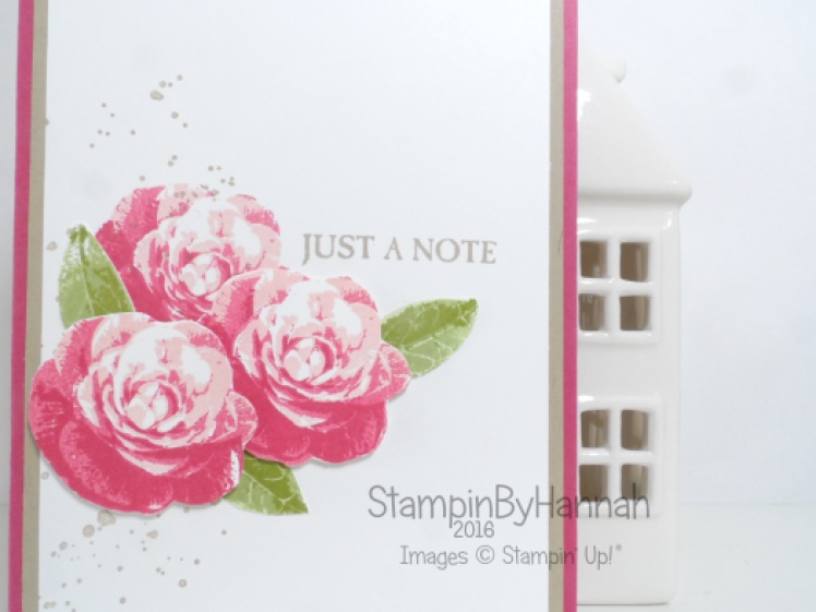 Make It Monday Featuring Stampin Up Picture Perfect Video Tutorial