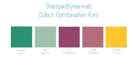 Stampin' Up! UK Colour Combination Emerald Envy Mint Macaron Rich Razzleberry Sweet Sugarplum Crushed Curry