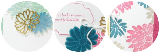 Online Card Class using Special Reason from Stampin' Up! UK