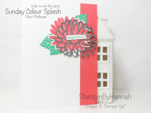 Sunday Colour Splash Colour Challenge Floral Congratulations Card using Special Reason from Stampin' Up! UK