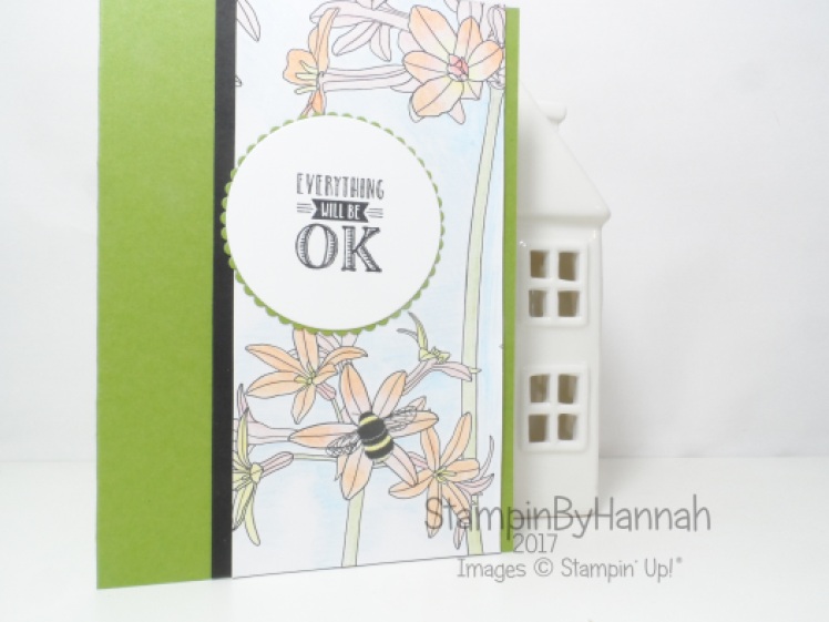 Make It Monday Sale-a-bration special using Stampin' Up! watercolour pencils and Inside the Lines Designer Series Paper